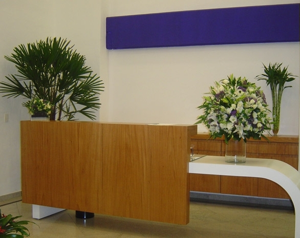 Recepção Tech Desinfecção