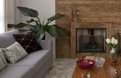 Sala de estar com lareira